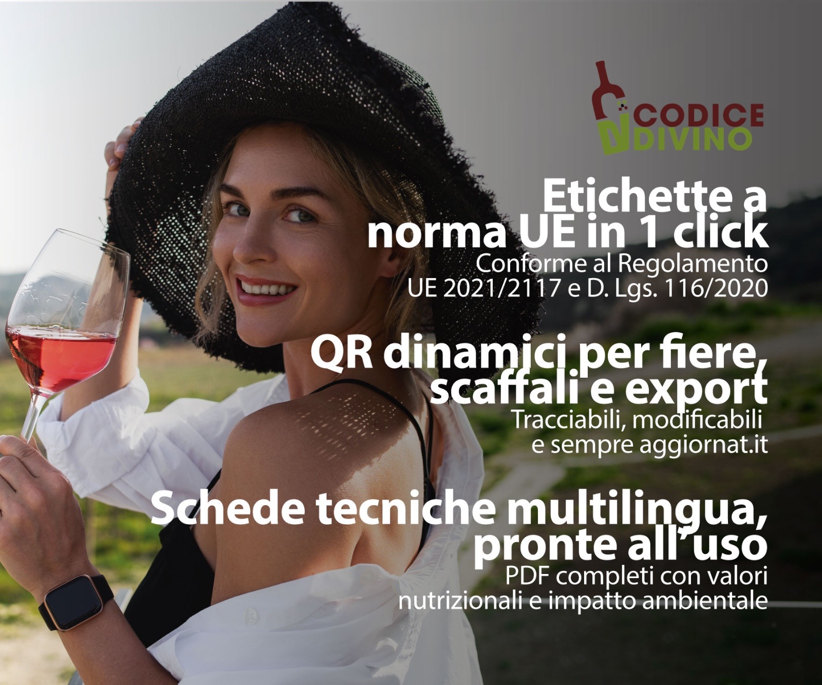 CodiceDivino: la rivoluzione digitale per l’etichettatura del vino nasce a Solopaca CodiceDivino: la rivoluzione digitale per l’etichettatura del vino nasce a Solopaca