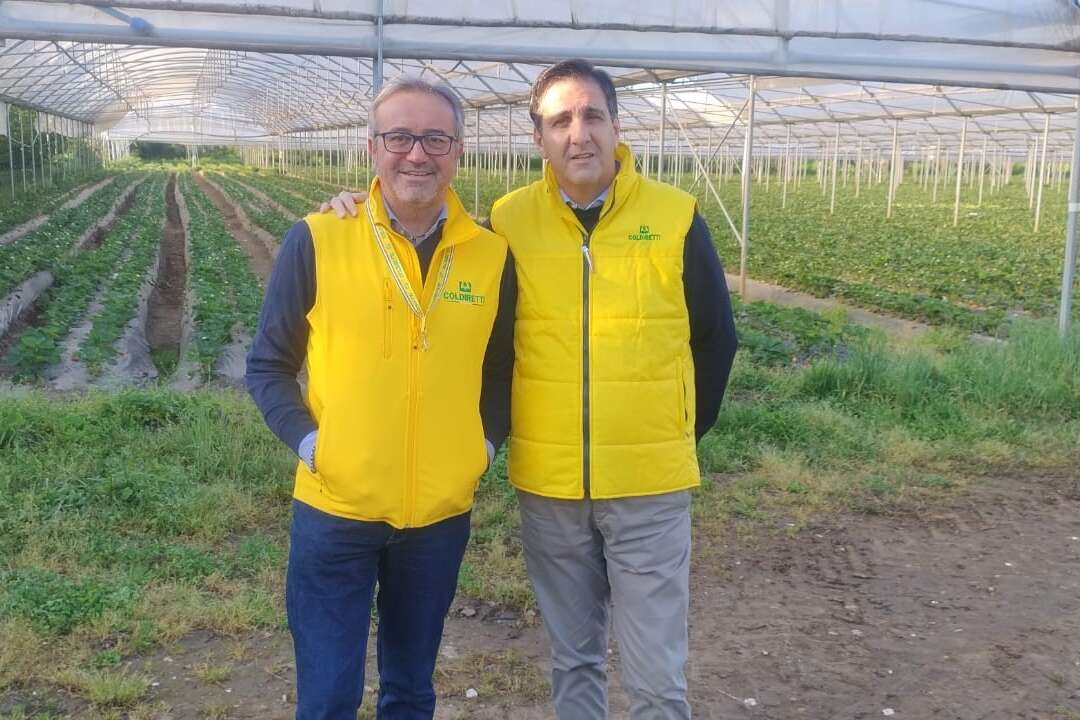 coldiretti caserta il tar della campania conferma lo stop alla costruzione degli impianti fotovoltaici a orta di atella