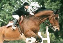 Brusca: intitolato a Di Matteo impianto sportivo nel Salernitano