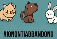 “Io non ti abbandono”, la campagna contro l’abbandono di animali