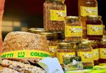 Giornata mondiale della sicurezza alimentare, Coldiretti: “Nel 2025 un allarme al giorno”