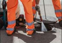 Salerno, parte il programma contro le blatte: ecco come verranno fermate