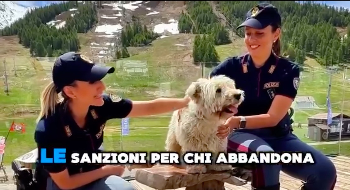 no all8217abbandono degli animali in estate la campagna della polizia