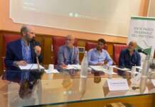 Terapia Forestale, Parco del Partenio e Cnr lanciano progetto pilota