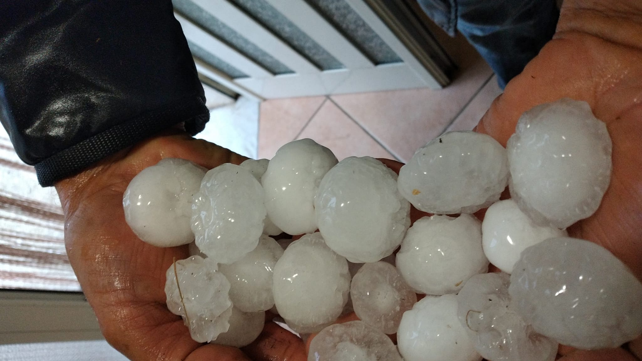 FOTO/ Maltempo nel Fortore, una violenta grandinata mette in ginocchio le colture FOTO/ Maltempo nel Fortore, una violenta grandinata mette in ginocchio le colture
