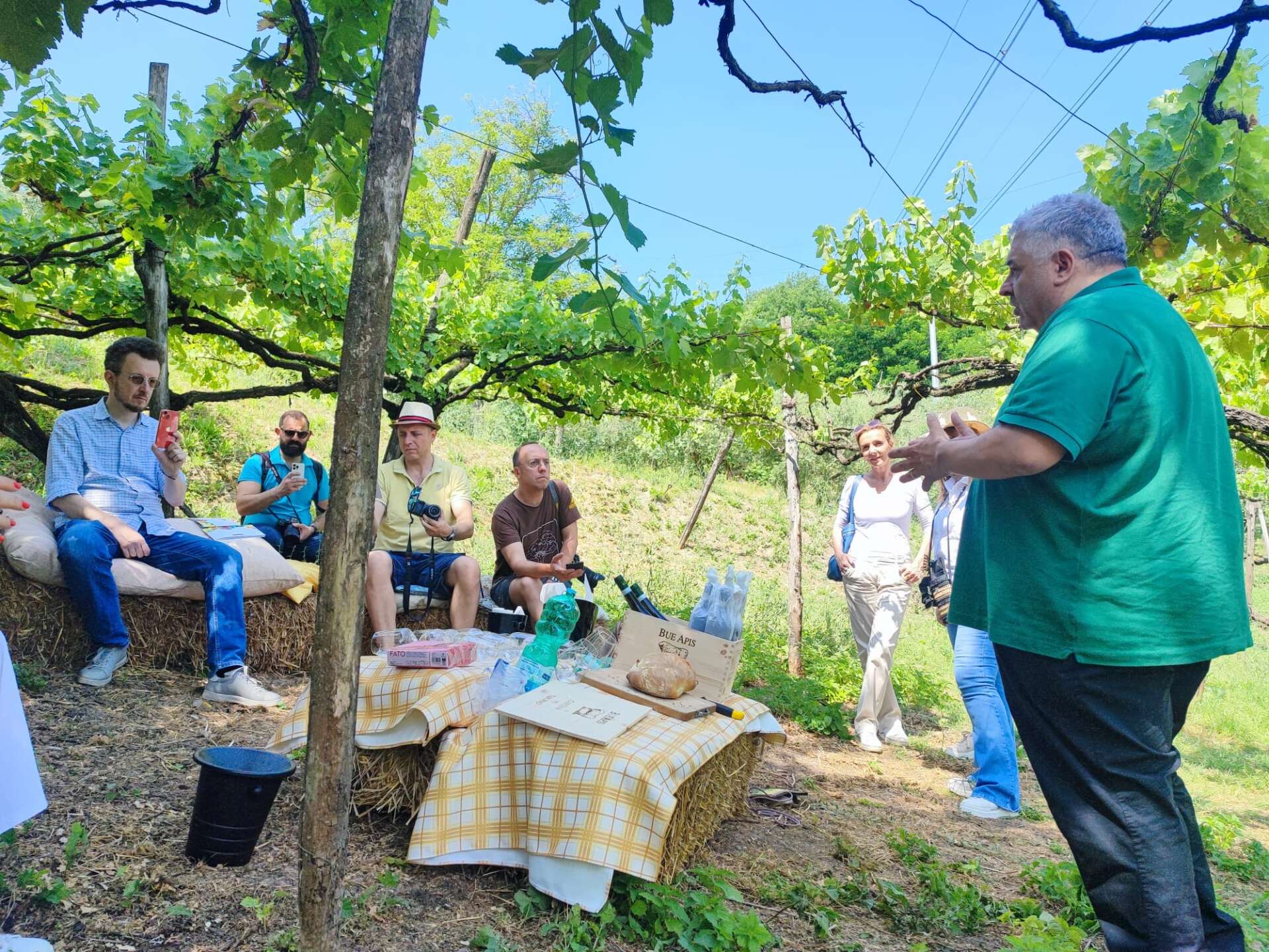 cantina del taburno giornalisti di settore alla scoperta del 8216bue apis8217