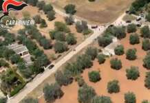 Carabiniere ucciso nel brindisino in una sparatoria, caccia ai malviventi