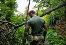 Lettere, Monti Lattari: Carabinieri trovano 267 piante di cannabis e cunicoli sotterranei