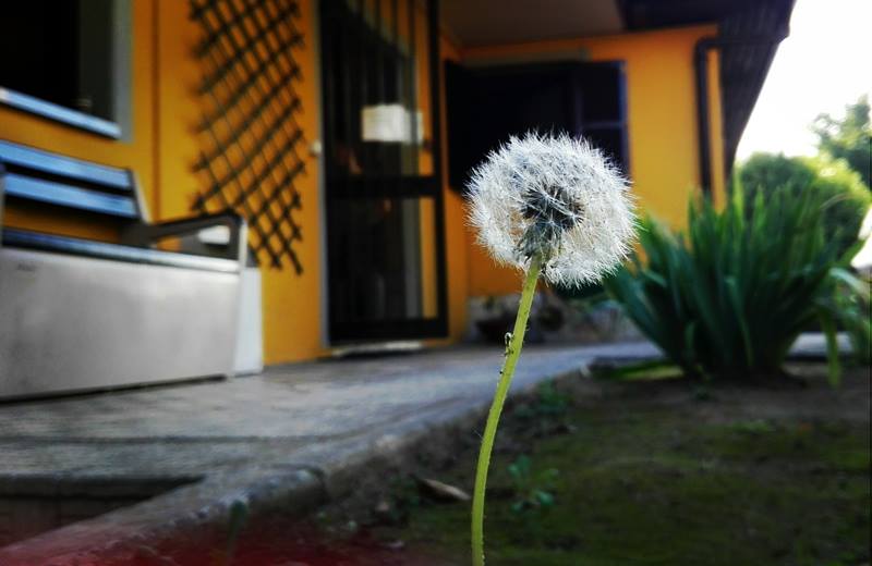 per i 40 anni de la casa sulla roccia momenti di confronti
