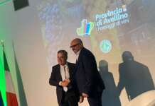 “Provincia di Avellino. Paesaggi di vini”, il nuovo logo dell’US