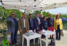 Nuovo ecopunto in Contrada San Vitale: telecamere di sorvseglianza e accesso col badge