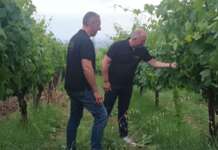 FOTO/ Un polo spumantistico di prima qualità: la nuova mission della Cantina del Taburno