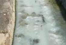 VIDEO/ Salerno, fiume Irno: le acque diventano bianche, sospetto sversamento illecito