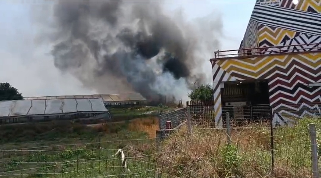 Incendi boschivi: 72 milioni di euro per contrastarli