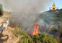 Macchia mediterranea colpita da un incendio: Vigili del Fuoco al lavoro