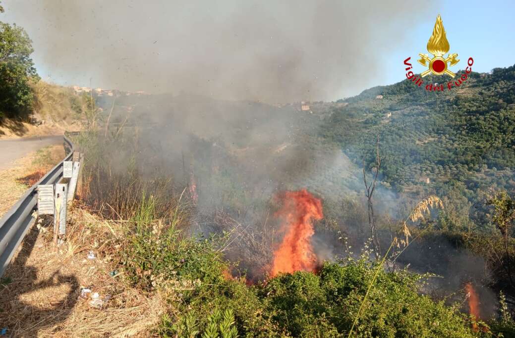 Macchia mediterranea colpita da un incendio: Vigili del Fuoco al lavoro Macchia mediterranea colpita da un incendio: Vigili del Fuoco al lavoro