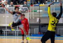 Pallamano, Cologne promosso in A Gold: brilla il sannita Ivano Rossi con un futuro da dottore