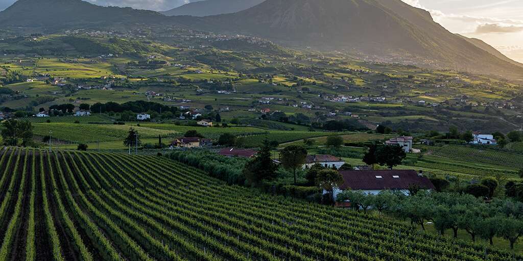 Sannio Consorzio Tutela Vini: quattro appuntamenti per valorizzare e promuovere i vini del territorio Sannio Consorzio Tutela Vini: quattro appuntamenti per valorizzare e promuovere i vini del territorio
