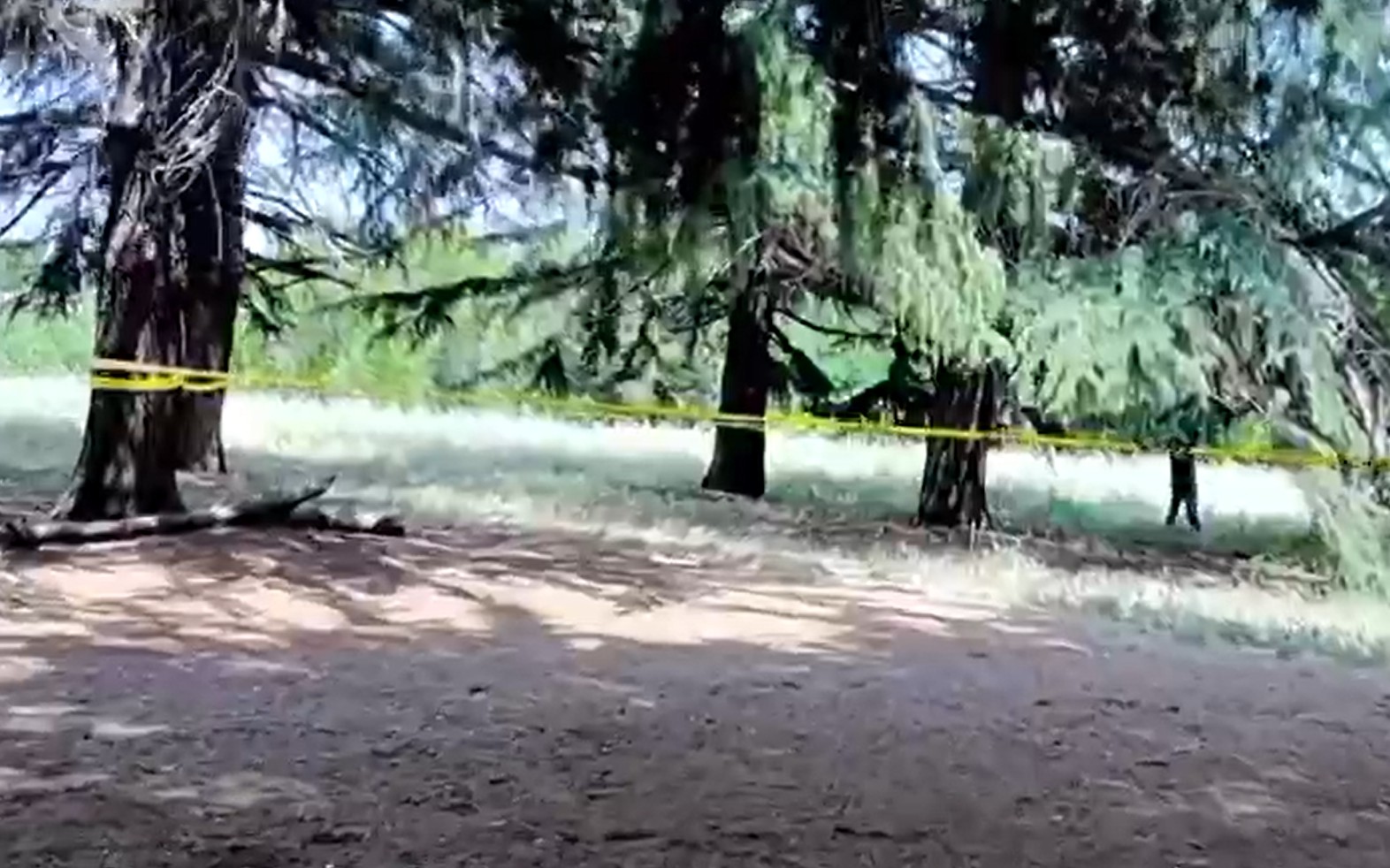 Non solo Campania: svolta sui due decessi a Villa Pamphili, identificata la donna