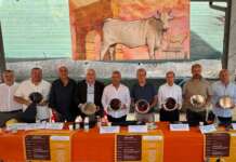 ‘Nata qui’; San Giorgio la Molara celebra l’eccellenza con la ‘Festa della Marchigiana’