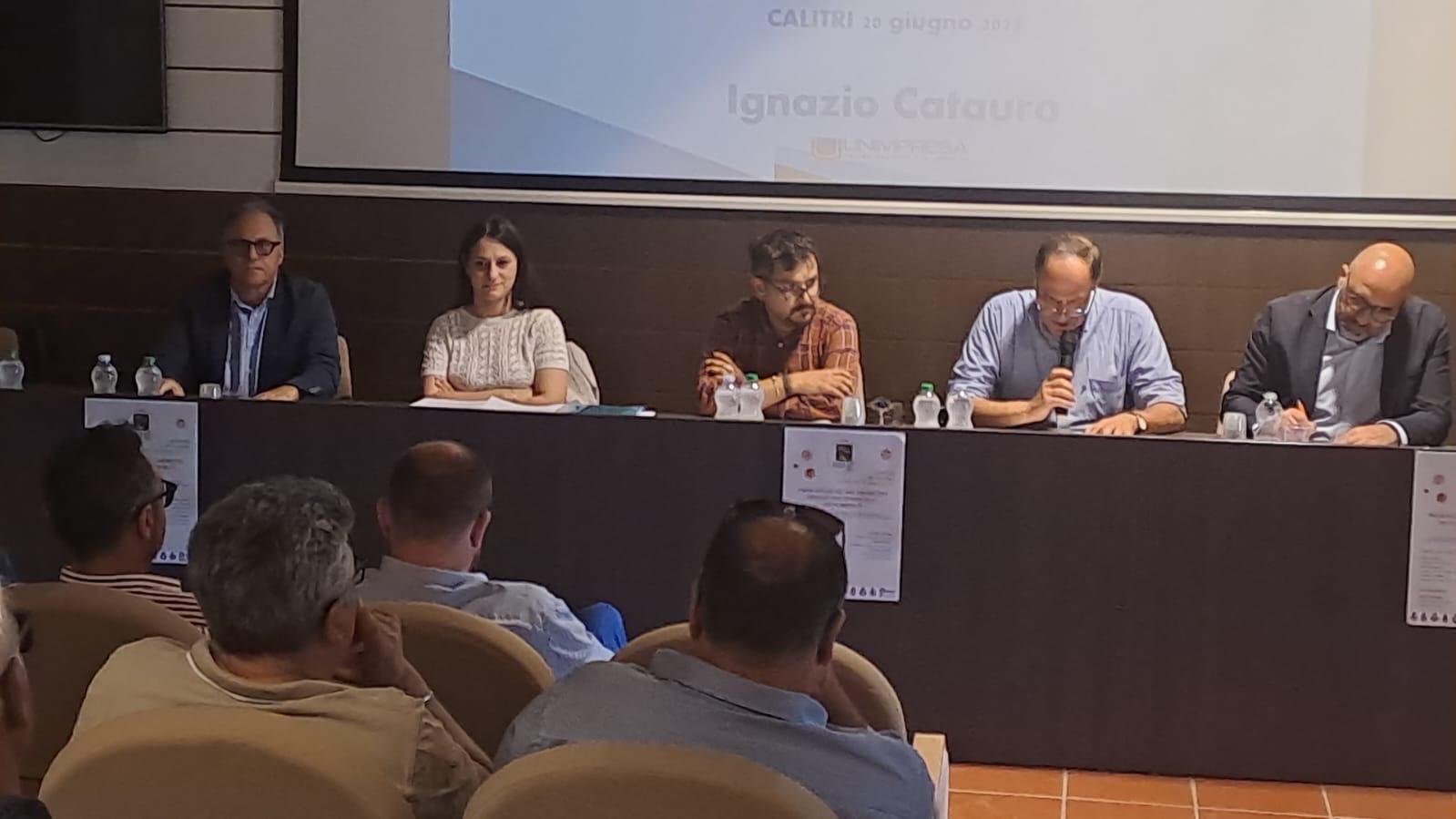 Alta Irpinia: Il Distretto del Commercio programma il futuro del territorio Alta Irpinia: Il Distretto del Commercio programma il futuro del territorio
