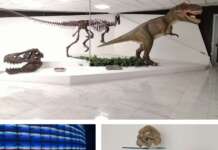 Museo “Biogeo”, oltre 1.600 visitatori nel primo semestre