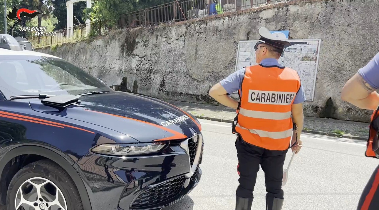 Sicurezza stradale e tutela animale: scattano denunce e segnalazioni Sicurezza stradale e tutela animale: scattano denunce e segnalazioni