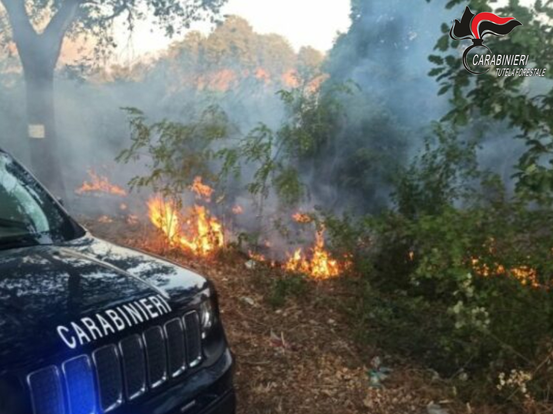 Incendi boschivi in Irpinia: I Carabinieri intensificano controlli Incendi boschivi in Irpinia: I Carabinieri intensificano controlli