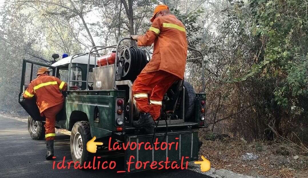 Forestazione, lavoro, territorio, tutela e futuro: Serve una svolta concreta pe la rinascita del comparto