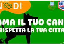 “Ama il tuo cane, rispetta la tua città”, l’iniziativa