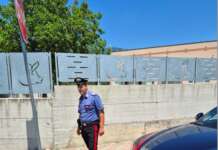 Ciclista investito da un veicolo: indagano i Carabinieri