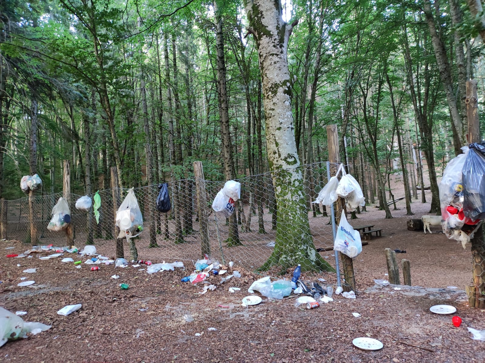 foto estate sul taburno le scampagnate che violentano la natura