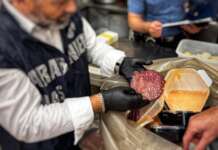 Carne avariata e ghiaccio nelle buste dell’immondizia: controlli negli stabilimenti balneari