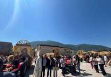 San Lorenzo Maggiore: carri di grano e tanta devozione alla Madonna della Strada