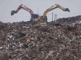 Crescono l’ecomafie, 40mila reati contro l’ambiente nel 2024: Campania al primo posto