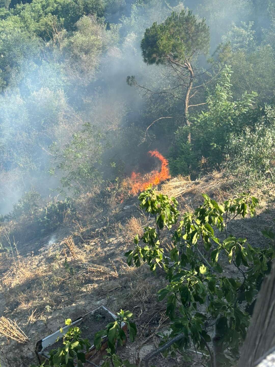 VIDEO/ Vasto incendio in provincia, i caschi rossi intervengono e spengono il rogo VIDEO/ Vasto incendio in provincia, i caschi rossi intervengono e spengono il rogo