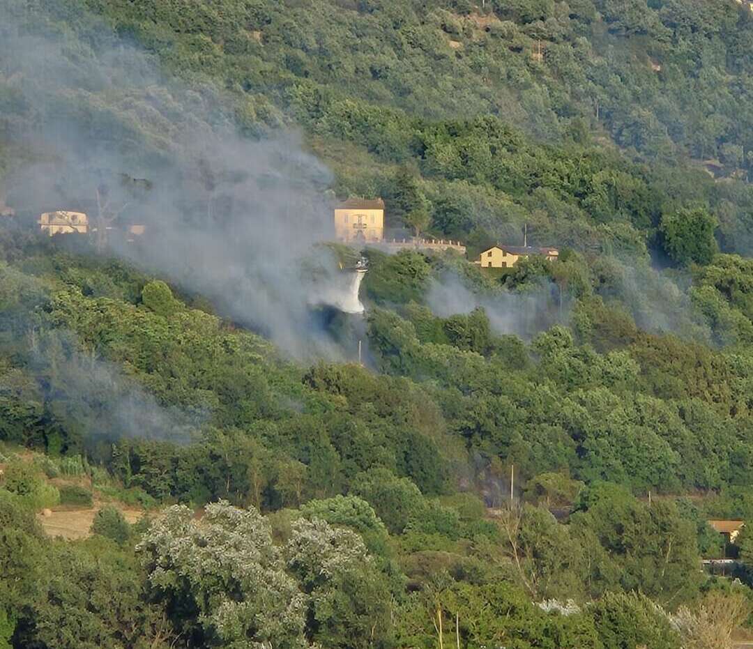 vasto incendio boschivo prosegue la bonifica delle zone interessate
