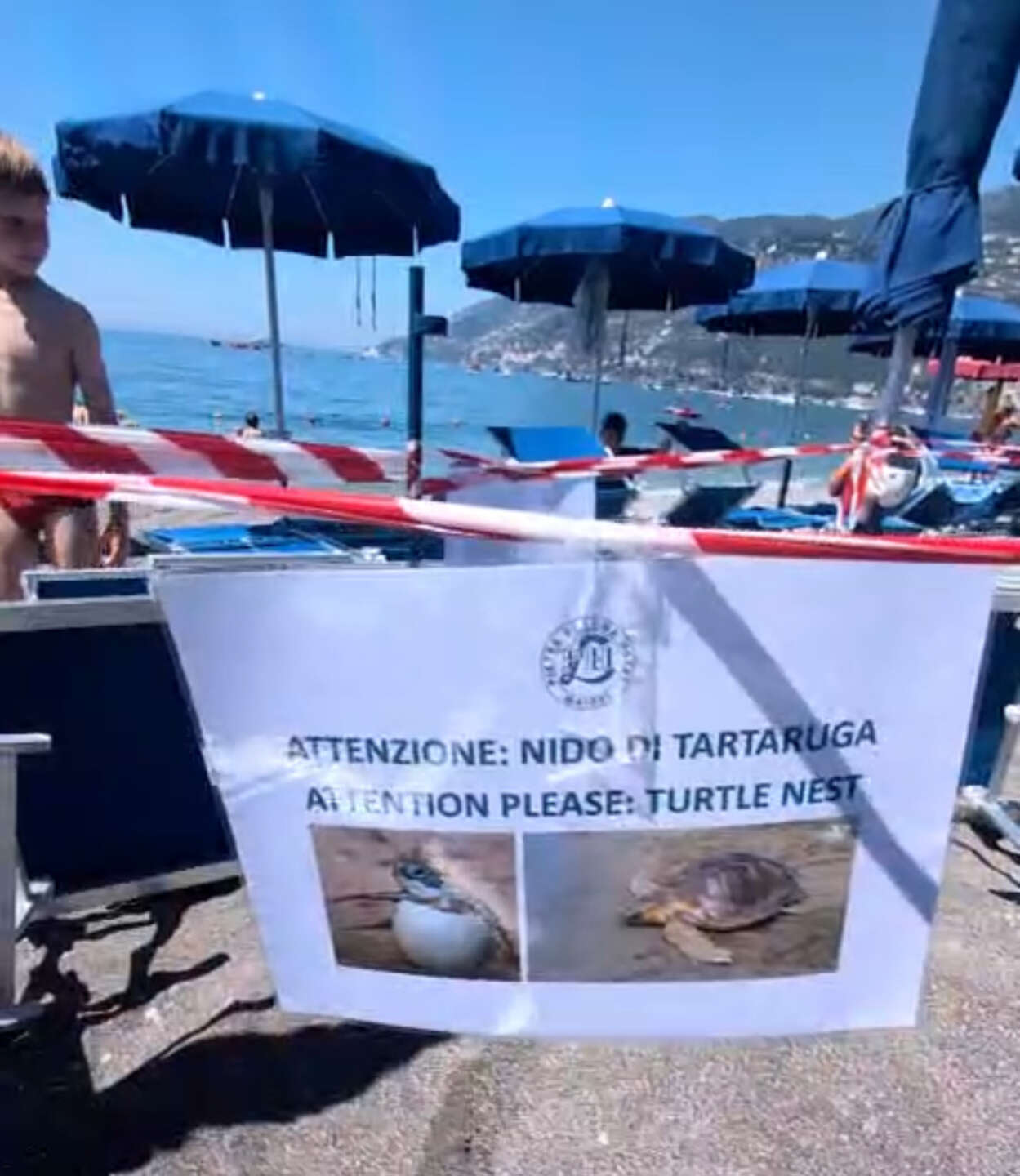 Maiori, salgono a due i nidi di tartaruga caretta caretta sulla spiaggia
