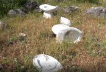 VIDEO/ Parco del Taburno Camposauro: ‘vittima’ in assenza di controllo