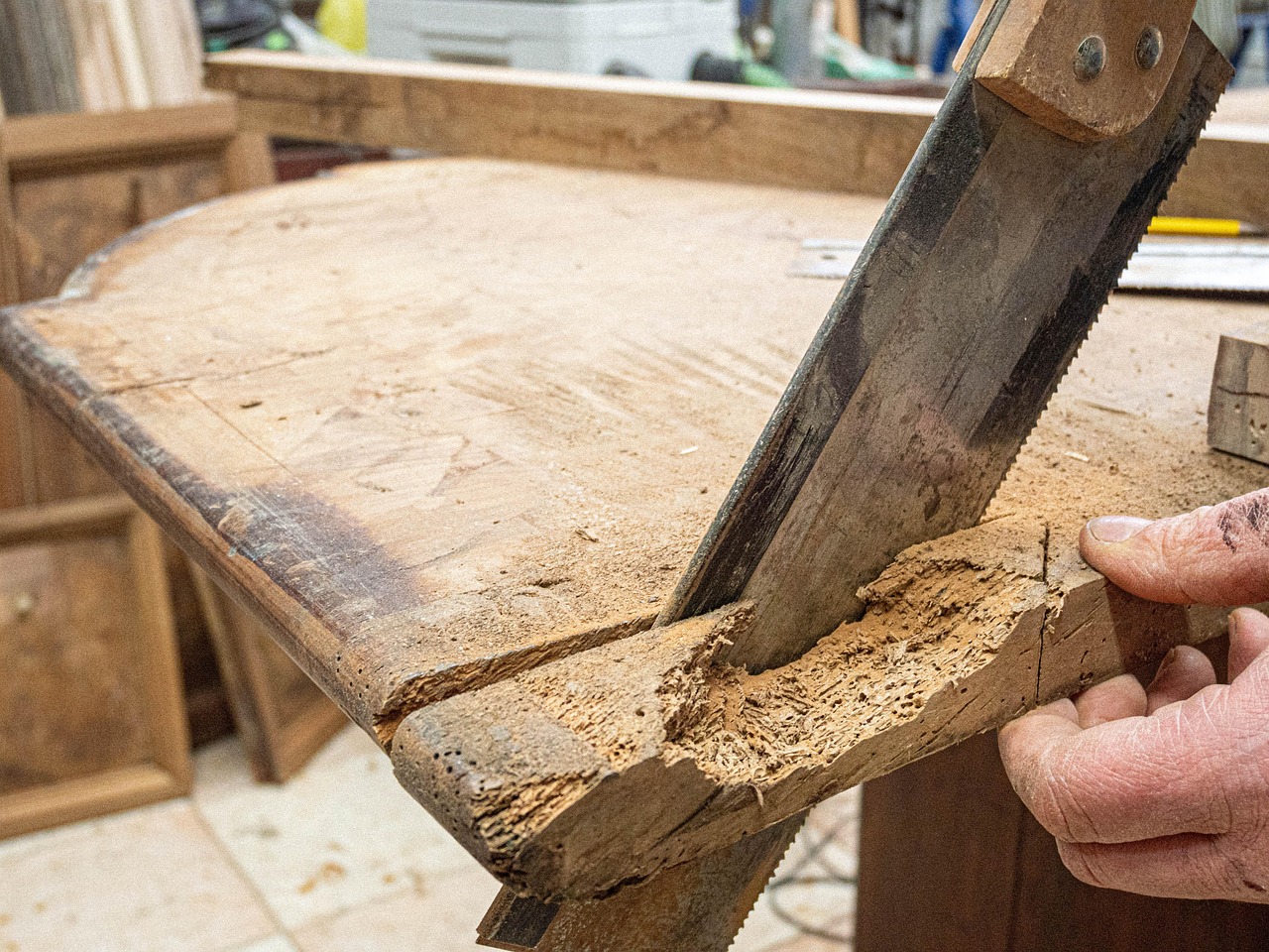 Come proteggere il legno dai tarli: le soluzioni più efficaci