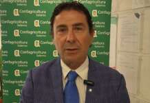 Cilento, Confagricoltura Salerno: “Danni dei cinghiali non più tollerabili”