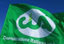 Corilicoltura irpina in crisi: la CIA chiede lo stato di calamità