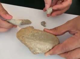 Pompei, turista tedesco sorpreso con 5 pietre e un laterizio nello zaino: scatta la denuncia