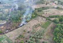 Appicca fiamme alla montagna: arrestato 58enne irpino
