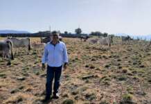 Peretti (AVS): “Alla Campania serve una Legge regionale sul Clima”