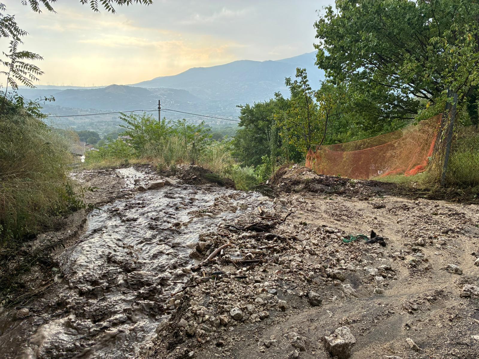 maltempo aic campania lancia l8217sos olivicoltura e viticoltura nel salernitano colture a rischio necessarie segnalazioni danni
