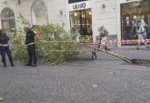 Vomero, crolla albero in via Scarlatti: divampa la polemica per la sequenza di casi