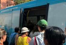Tpl a Procida, turisti protestano per i bus Eav: “Afa, folla, ritardi e mezzi vecchi”