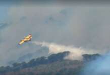 Fiamme sul Vesuvio, partita una colonna mobile dal Piemonte