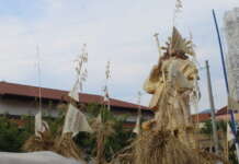 FOTO & VIDEO/ Fede e tanto sacrificio: Foglianise si colora coi ‘Carri di Grano’